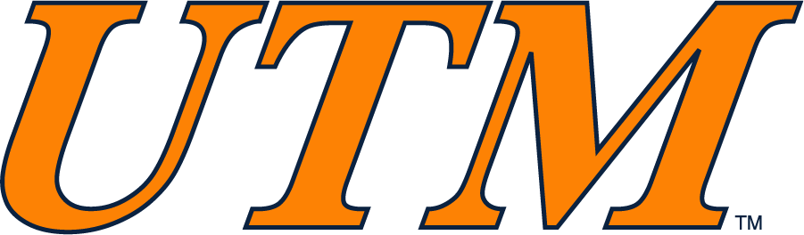 Tennessee-Martin Skyhawks 2007-2017 Wordmark Logo diy iron on heat transfer